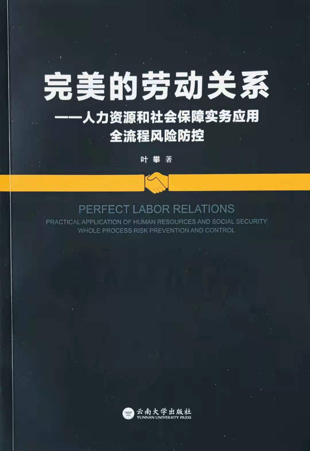 《完美的劳动关系——人力资源和社会保障实务应用全流程风险防控》